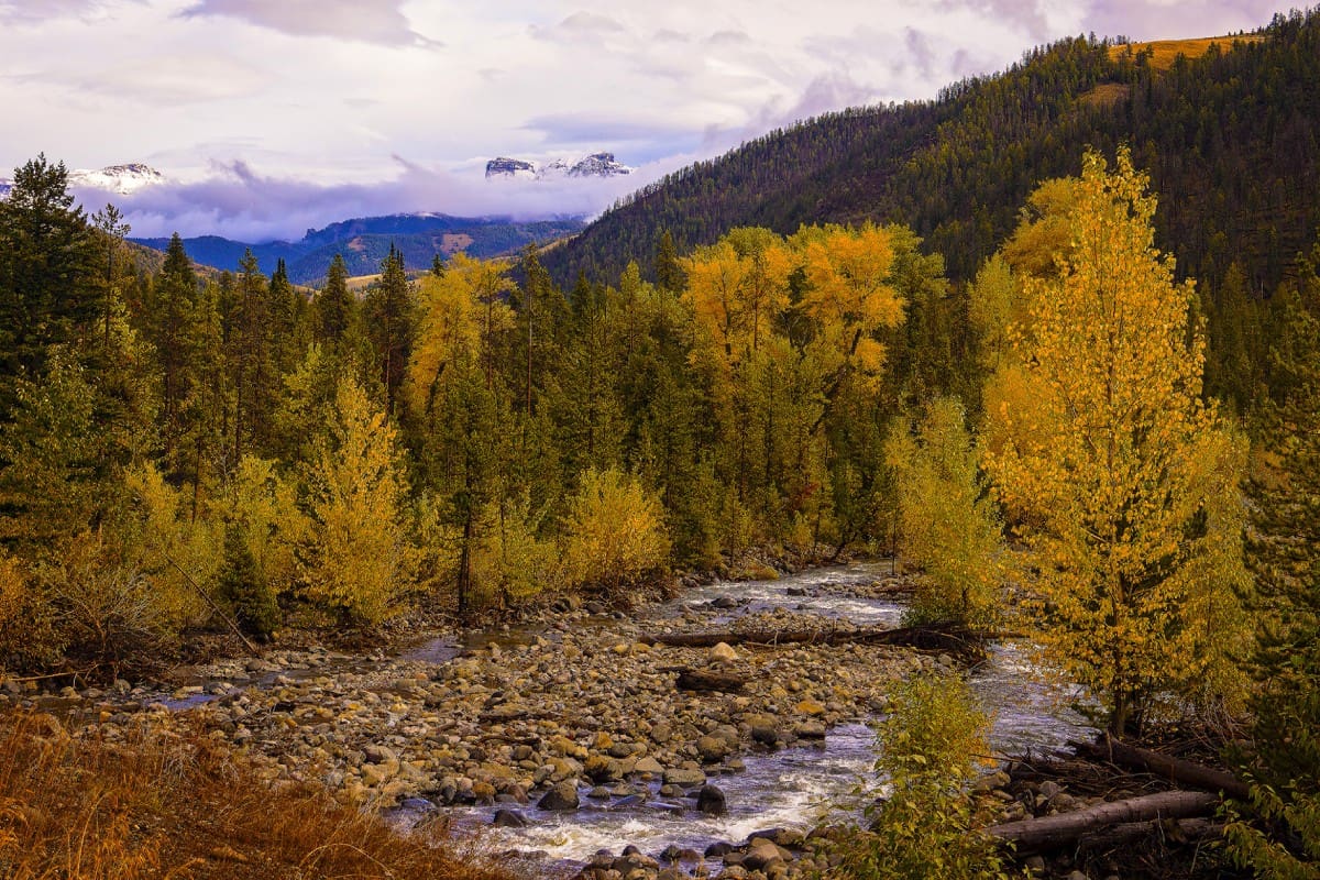 A river surrounded by trees and mountains.