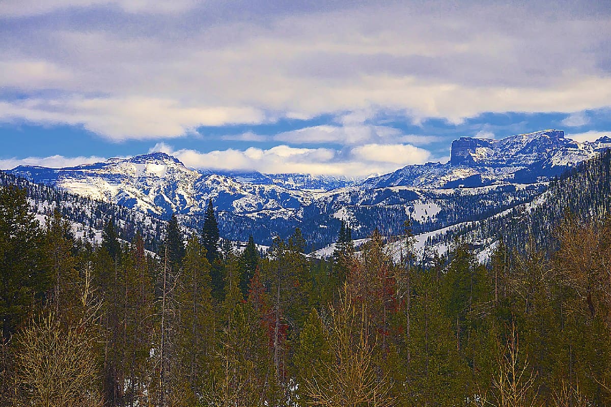 North Fork Winter Photography