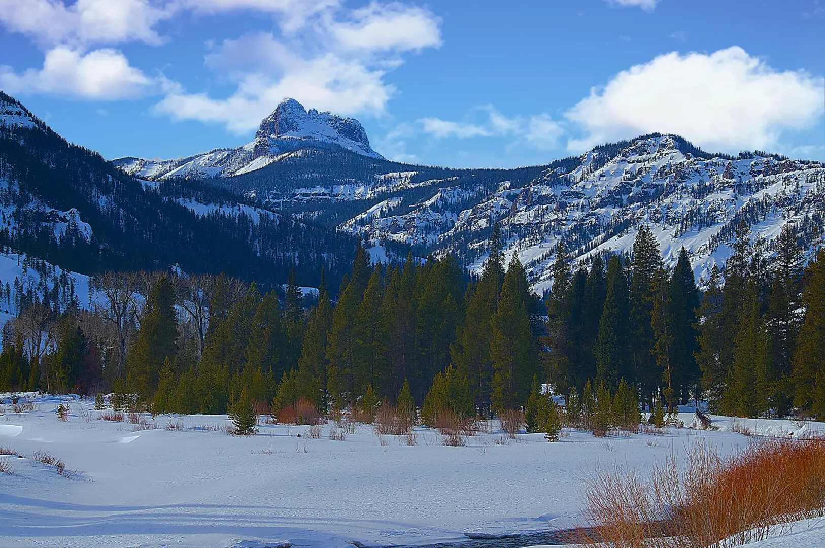 Winter on Cody Peak Absaroka Light Photography