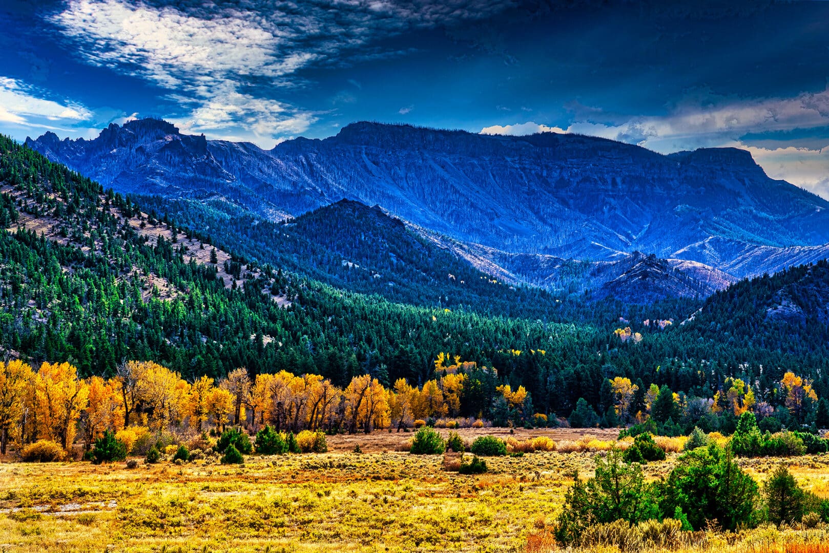 A field with trees and mountains in the background.