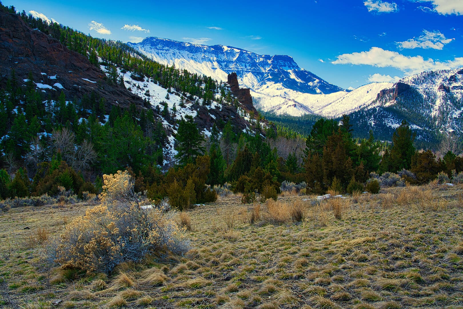 A grassy field with a mountain in the background.