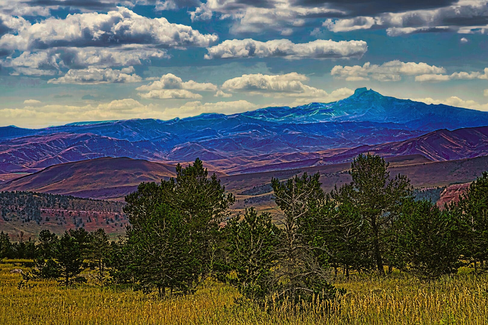 A field with trees and mountains in the background.