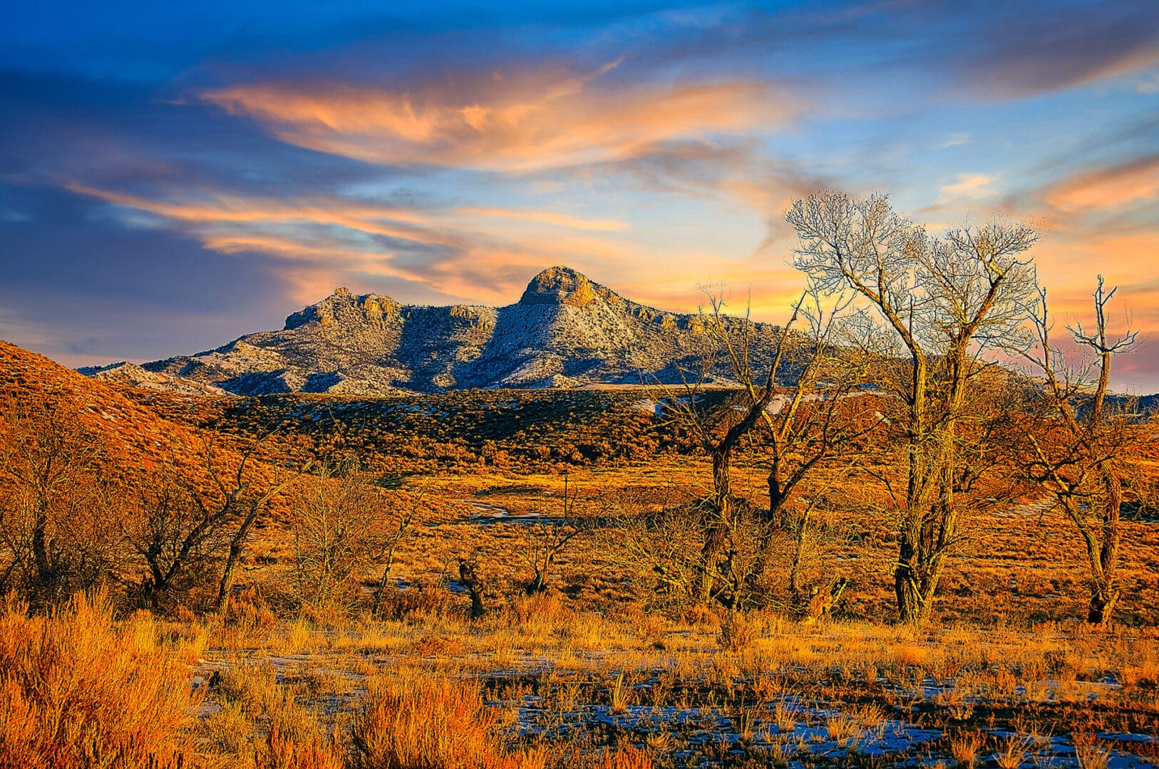 A field with a mountain in the background.