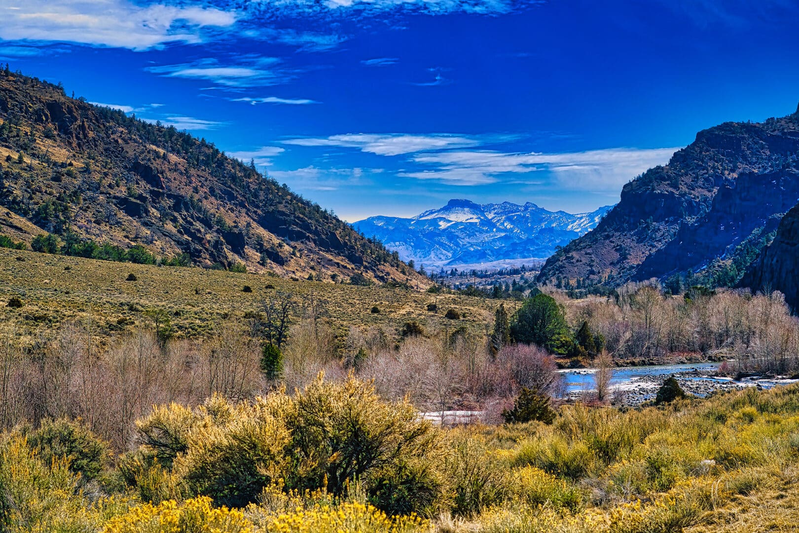 A valley with trees and mountains in the background.