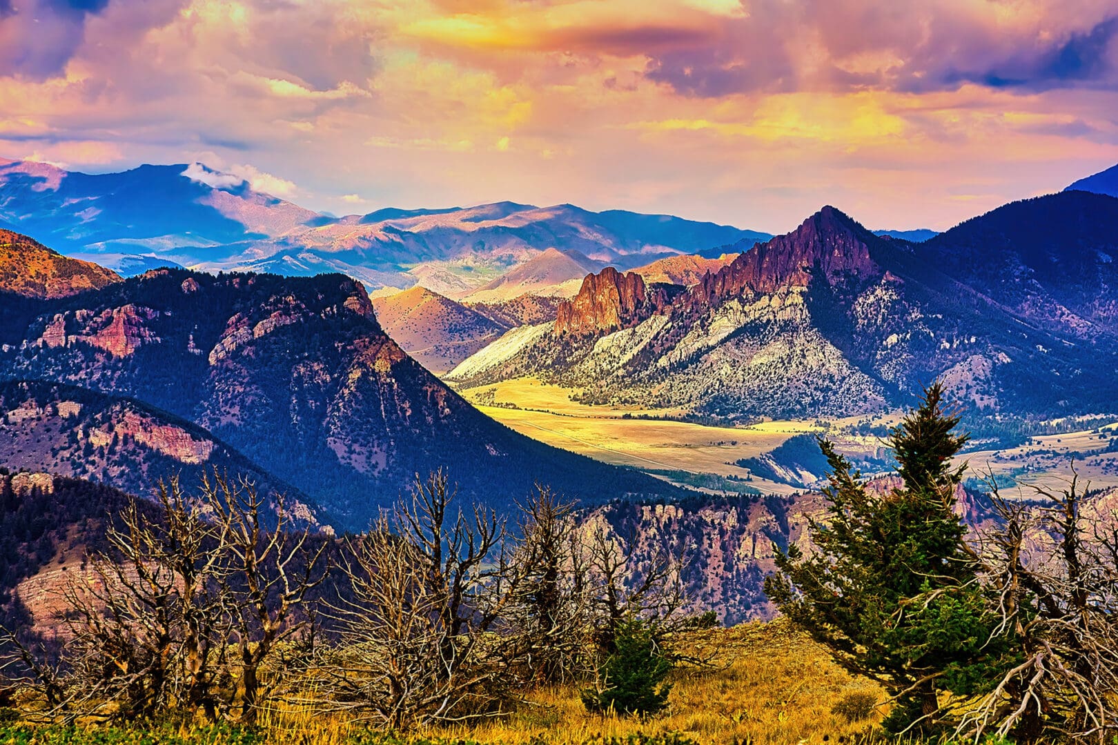 A mountain range with trees in the background.