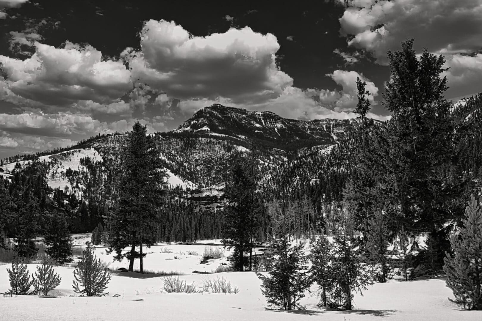 A beautiful black and white portrait of Mount Howell