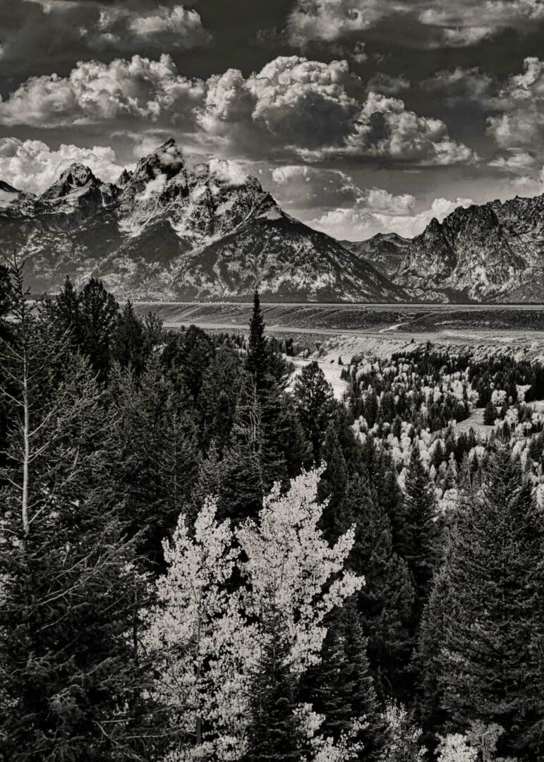 A beautiful portrait of Snake River Bend