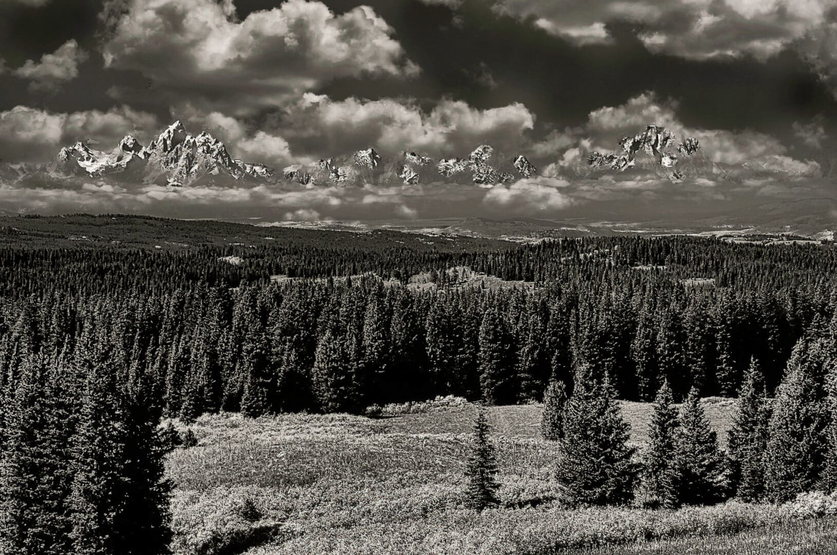 A black and white photo of the grand teton mountains.