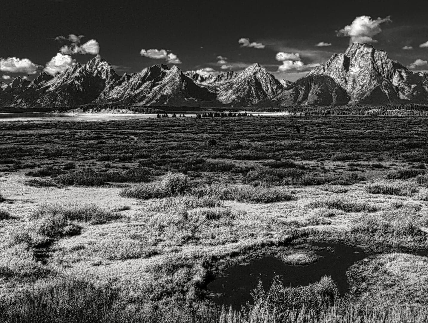 A black and white portrait of the Willow flats