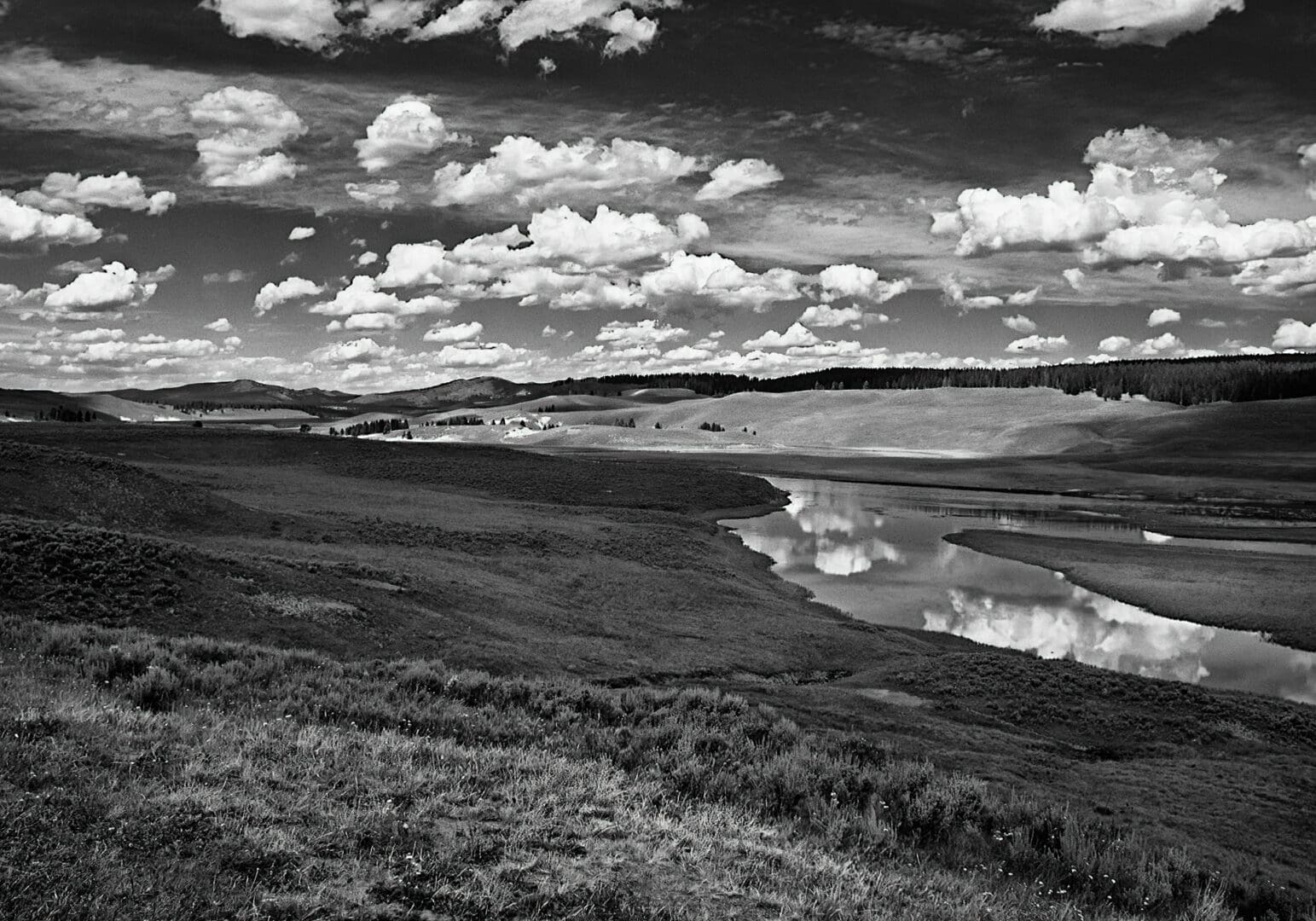 A beautiful portrait of the Yellowstone Hayden valley