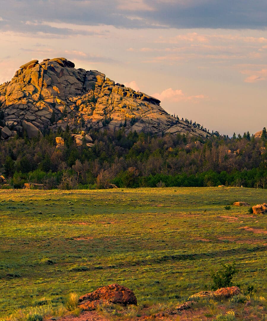 A large grassy field with a mountain in the background.