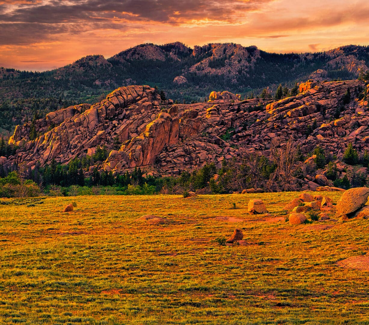 A grassy field with a mountain in the background.