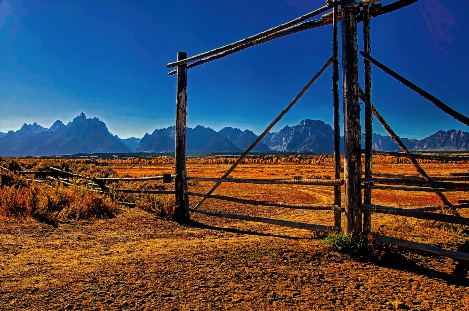 A wooden gate in the middle of a field.