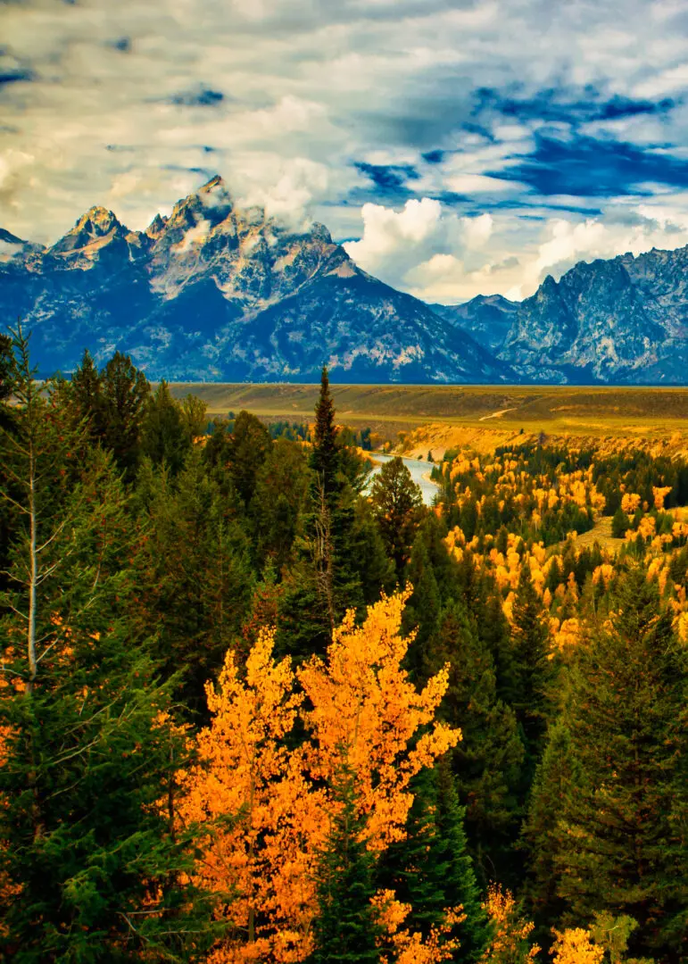 A mountain range in the distance.