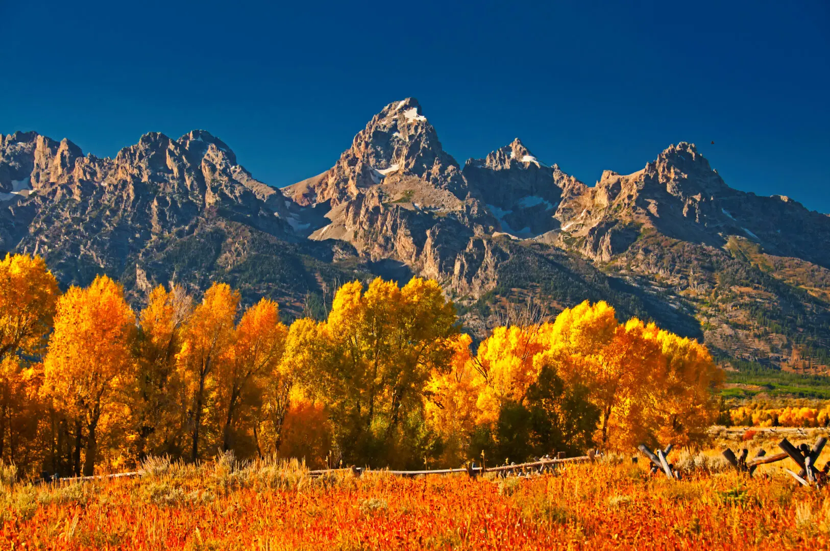 Autumn in grand teton national park.