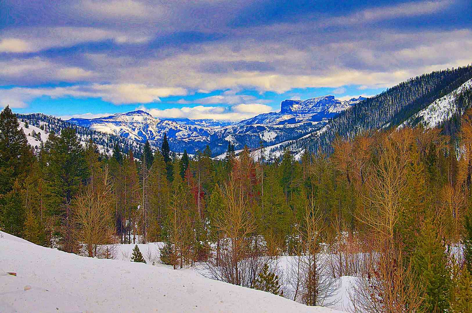 A person is skiing down a snowy slope.