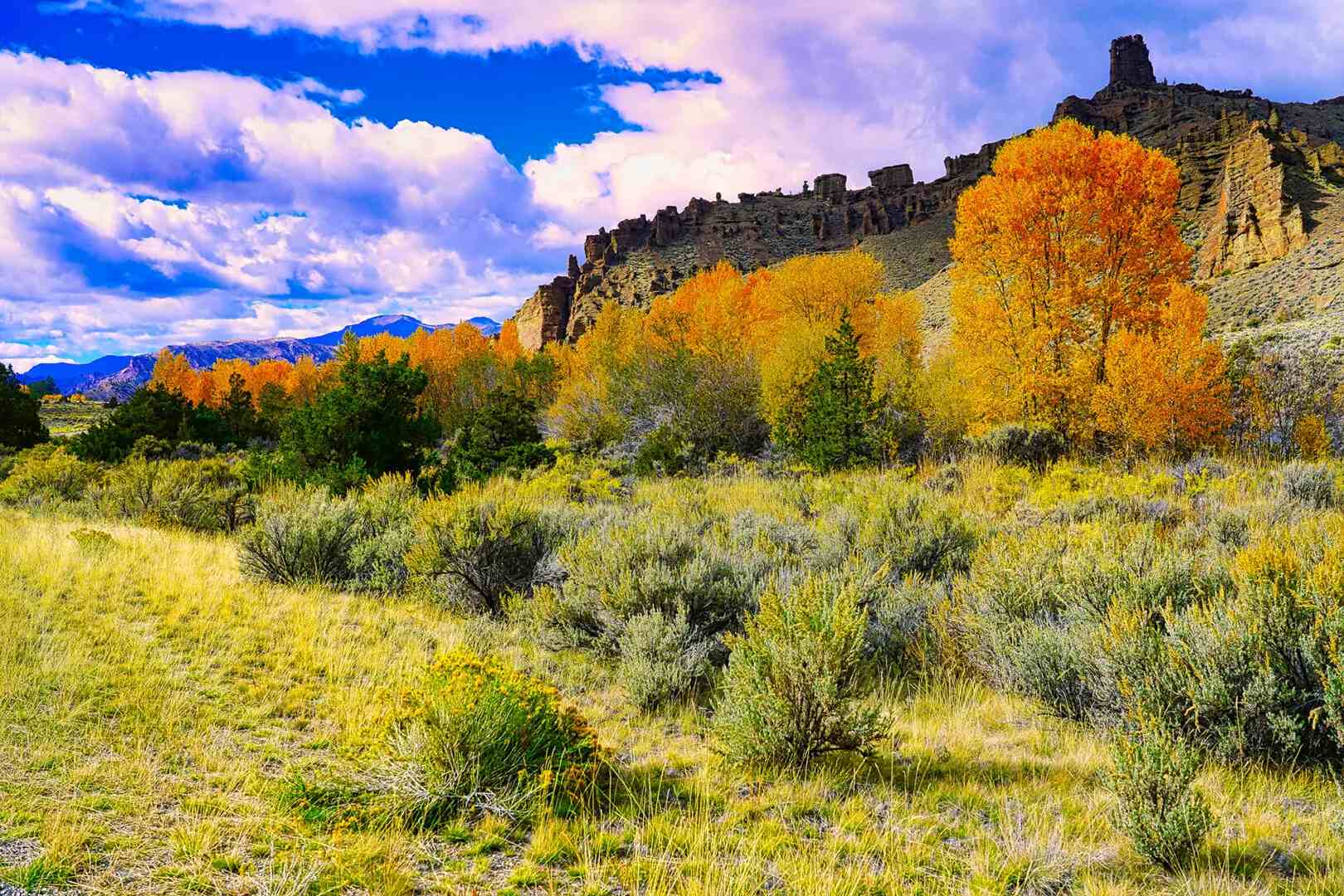 An autumn scene with trees and a mountain in the background.