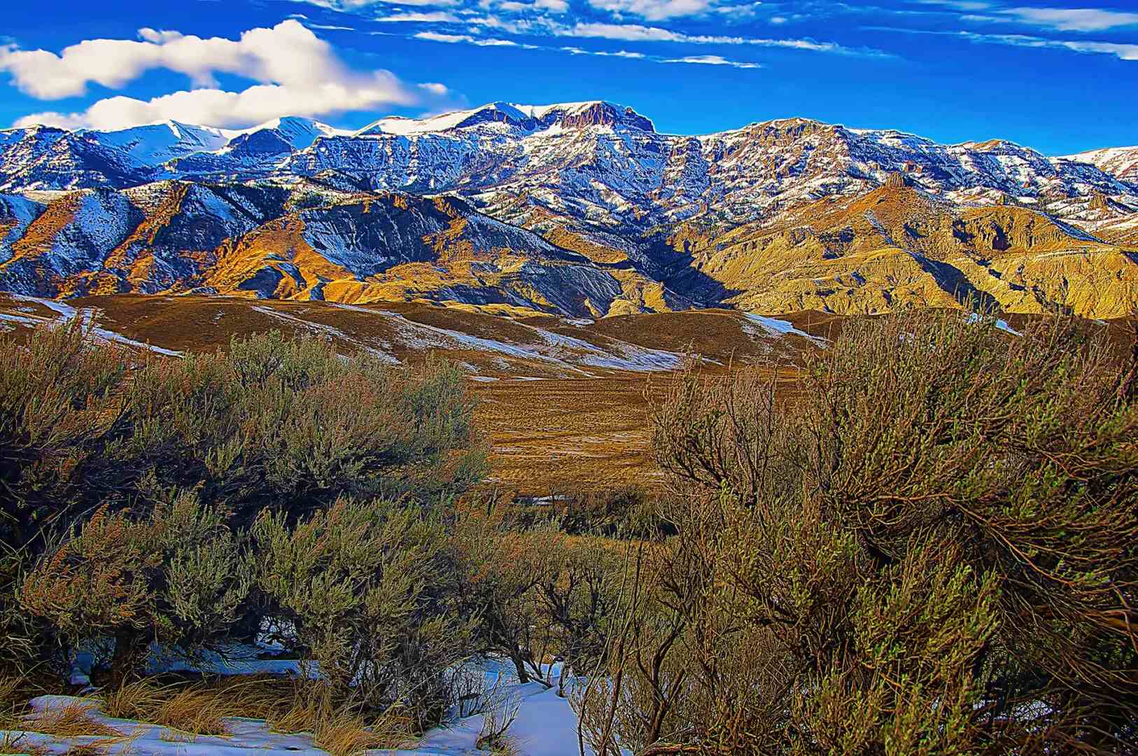 A snow covered mountain range with bushes in the foreground.