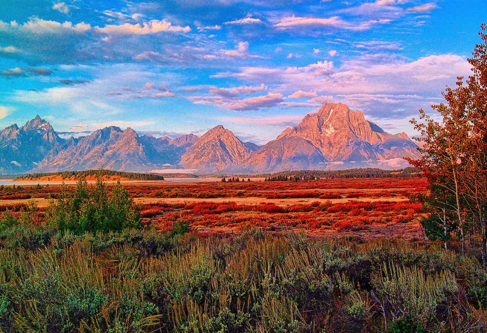 Photograph - grand teton national park fine art print.